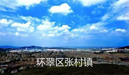环翠区张村镇