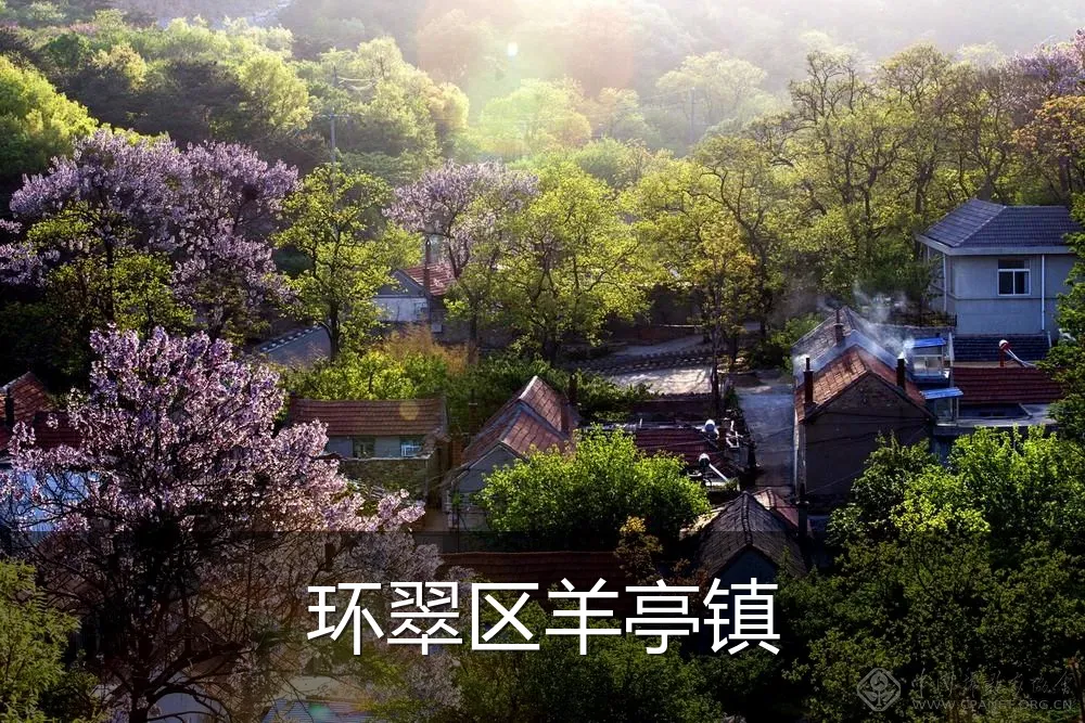 环翠区羊亭镇
